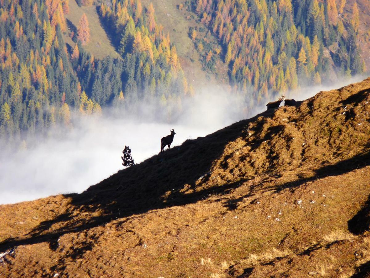 Apart Alpenflair Nauders Exteriör bild